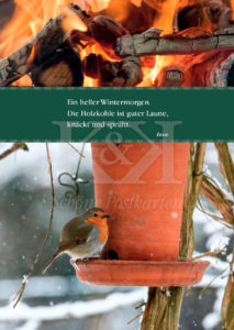 >>> NEU: Schöne Postkarte Nr. 122 · Rotkehlchen an einem hellen Wintermorgen