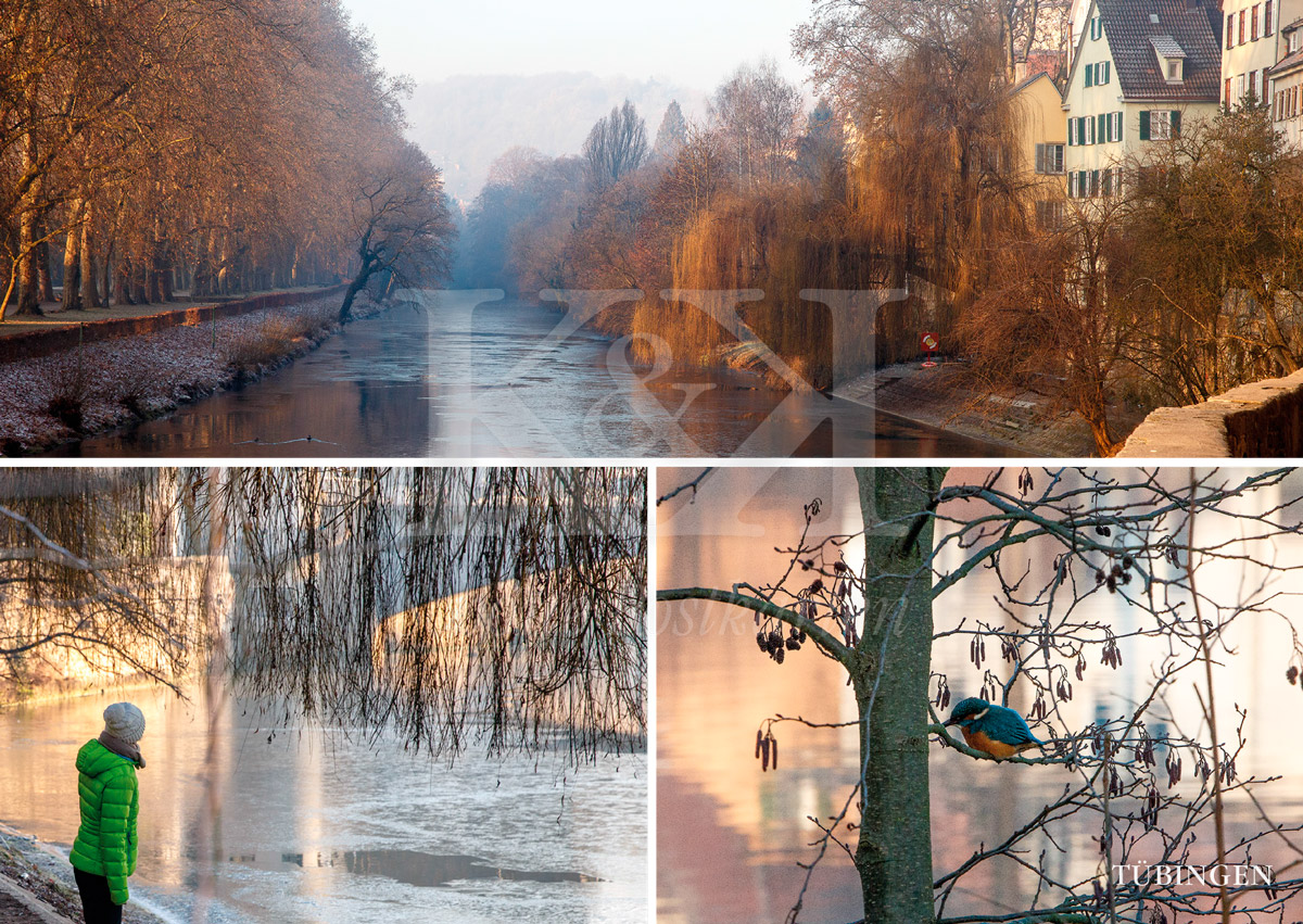 >>> NEU: Schöne Postkarte Nr. 41 · Der frühe Vogel: Morgenstimmung am Neckar