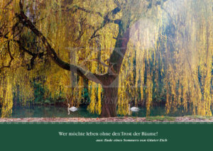 Schöne Postkarte Nr. 133 · Der Trost der Bäume | © Schöne Postkarten, Tübingen