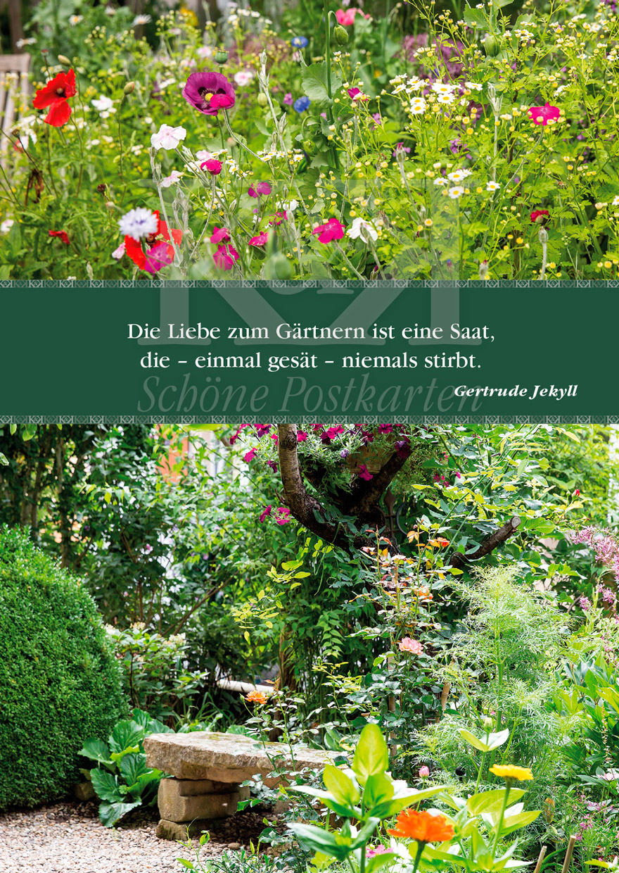 Nr. 15 · Die Liebe zum Gärtnern | © Schöne Postkarten, Tübingen